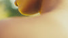 luxury body care sustainably made in England 