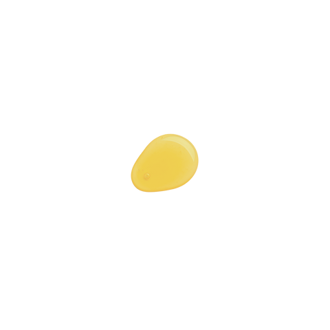 Seymour Shampoo • Replenishment